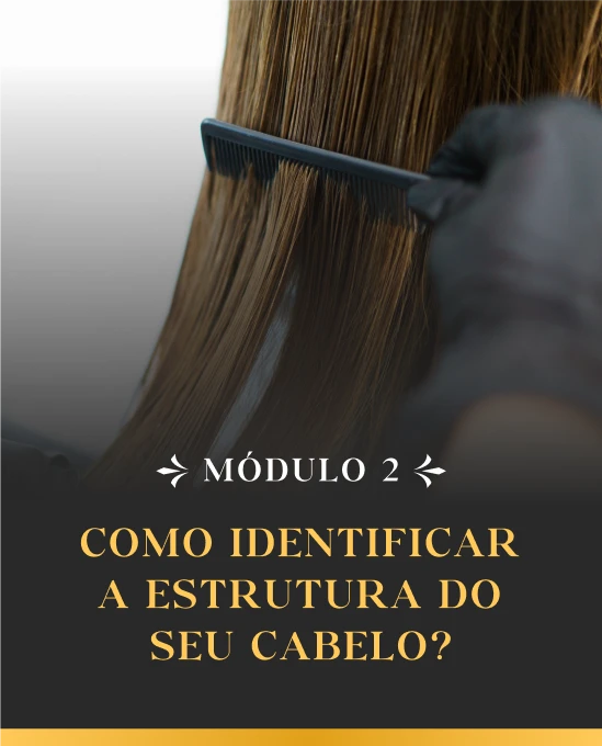 mod-slide-01.webp