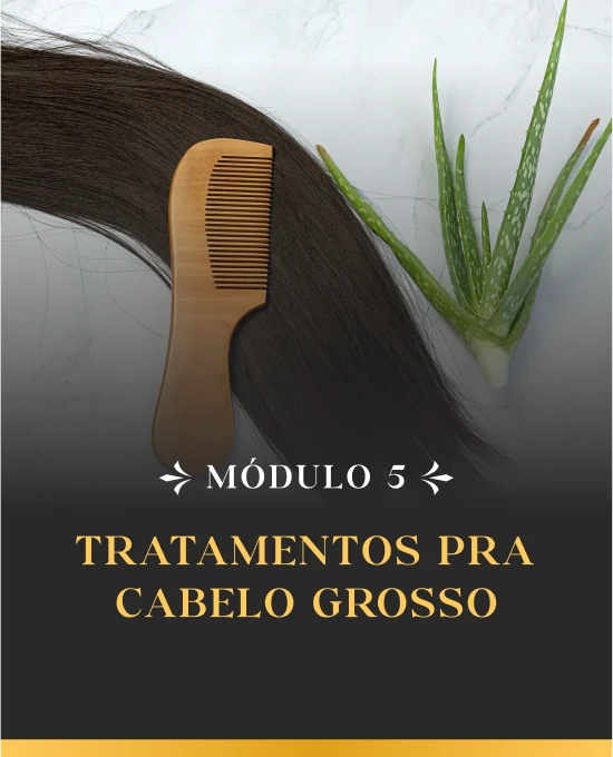 mod-slide-5.webp